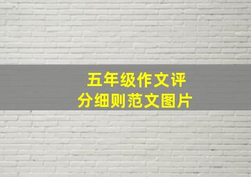 五年级作文评分细则范文图片