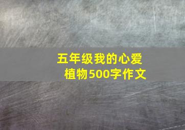 五年级我的心爱植物500字作文