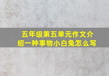 五年级第五单元作文介绍一种事物小白兔怎么写