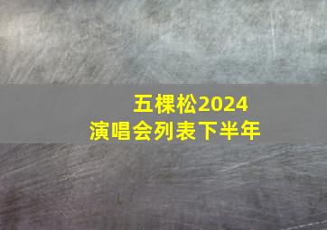 五棵松2024演唱会列表下半年