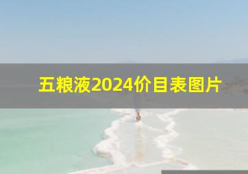 五粮液2024价目表图片