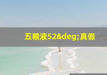 五粮液52°真假