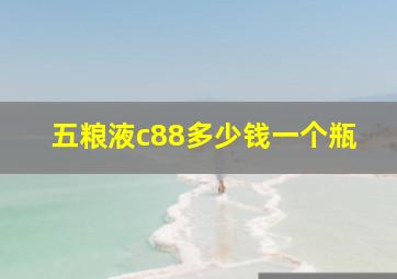 五粮液c88多少钱一个瓶