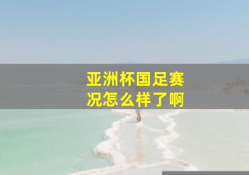 亚洲杯国足赛况怎么样了啊