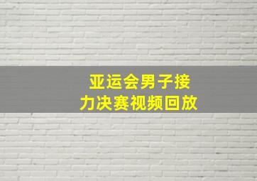 亚运会男子接力决赛视频回放