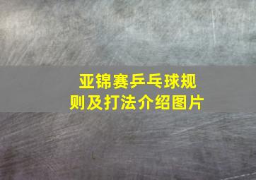 亚锦赛乒乓球规则及打法介绍图片