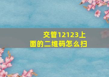 交管12123上面的二维码怎么扫