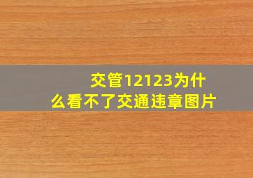 交管12123为什么看不了交通违章图片