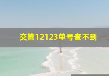 交管12123单号查不到