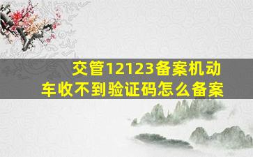 交管12123备案机动车收不到验证码怎么备案