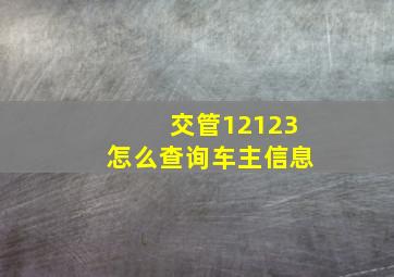 交管12123怎么查询车主信息