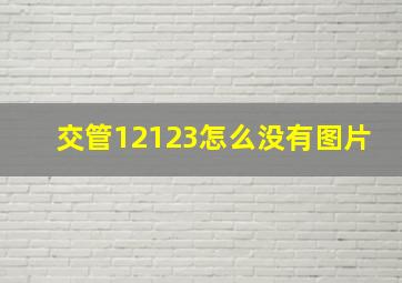 交管12123怎么没有图片