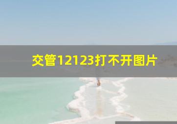 交管12123打不开图片