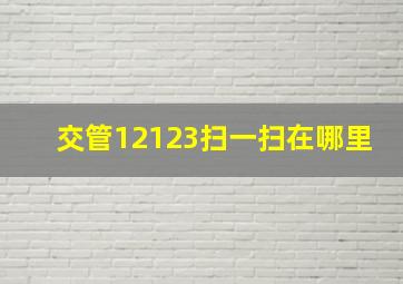 交管12123扫一扫在哪里