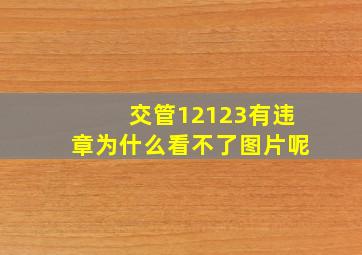 交管12123有违章为什么看不了图片呢