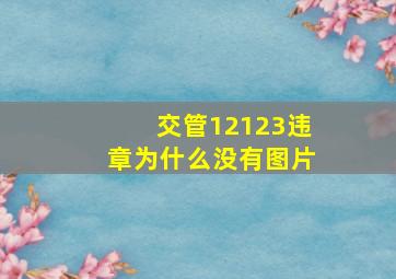 交管12123违章为什么没有图片