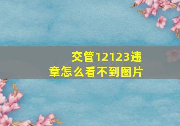 交管12123违章怎么看不到图片