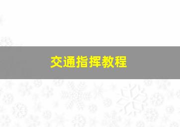 交通指挥教程