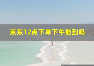 京东12点下单下午能到吗