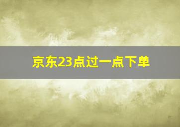 京东23点过一点下单