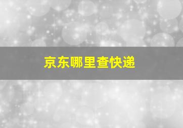 京东哪里查快递