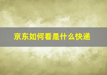 京东如何看是什么快递