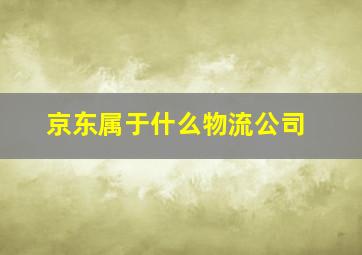 京东属于什么物流公司