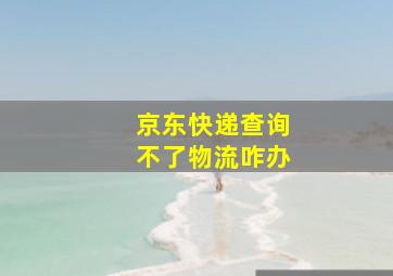 京东快递查询不了物流咋办