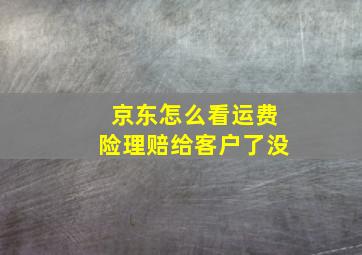 京东怎么看运费险理赔给客户了没