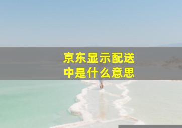 京东显示配送中是什么意思