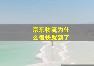 京东物流为什么很快就到了