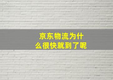 京东物流为什么很快就到了呢