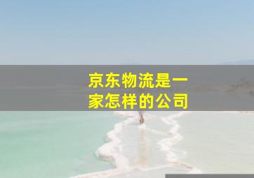 京东物流是一家怎样的公司