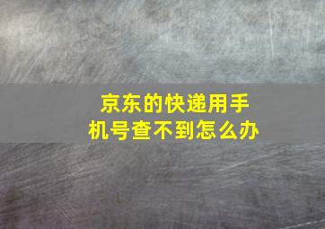 京东的快递用手机号查不到怎么办