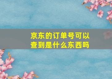 京东的订单号可以查到是什么东西吗