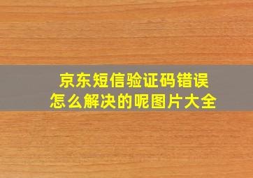 京东短信验证码错误怎么解决的呢图片大全