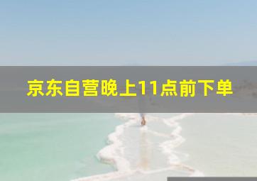 京东自营晚上11点前下单