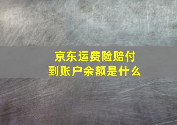 京东运费险赔付到账户余额是什么