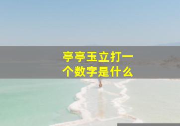 亭亭玉立打一个数字是什么