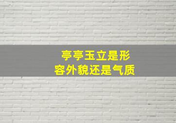 亭亭玉立是形容外貌还是气质