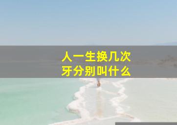 人一生换几次牙分别叫什么