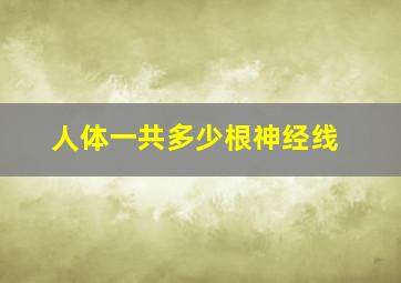 人体一共多少根神经线