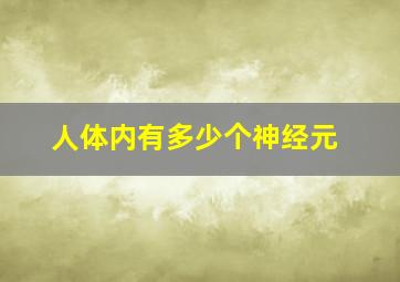 人体内有多少个神经元