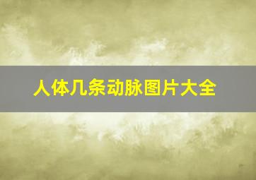 人体几条动脉图片大全