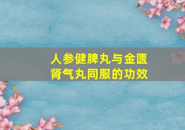 人参健脾丸与金匮肾气丸同服的功效