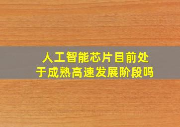 人工智能芯片目前处于成熟高速发展阶段吗