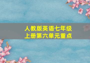 人教版英语七年级上册第六单元重点