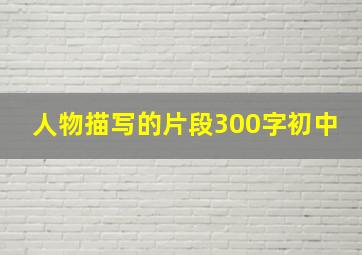 人物描写的片段300字初中