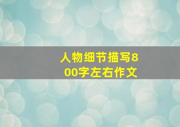 人物细节描写800字左右作文