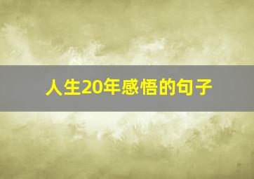 人生20年感悟的句子